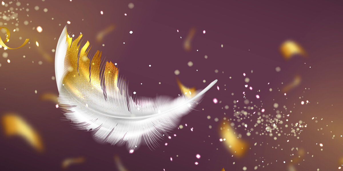 к чему снится белое перо. птичье перо. пуховые перья. к чему снятся перья. два пера картинка.