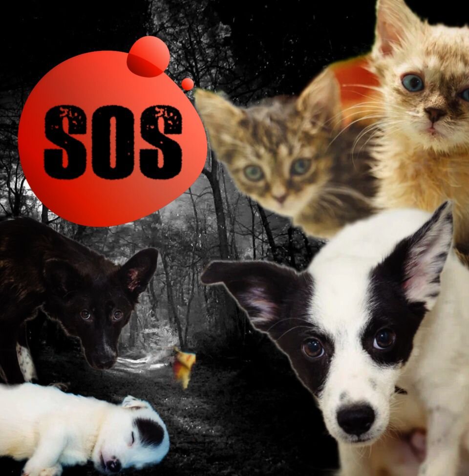 Нужна помощь людей