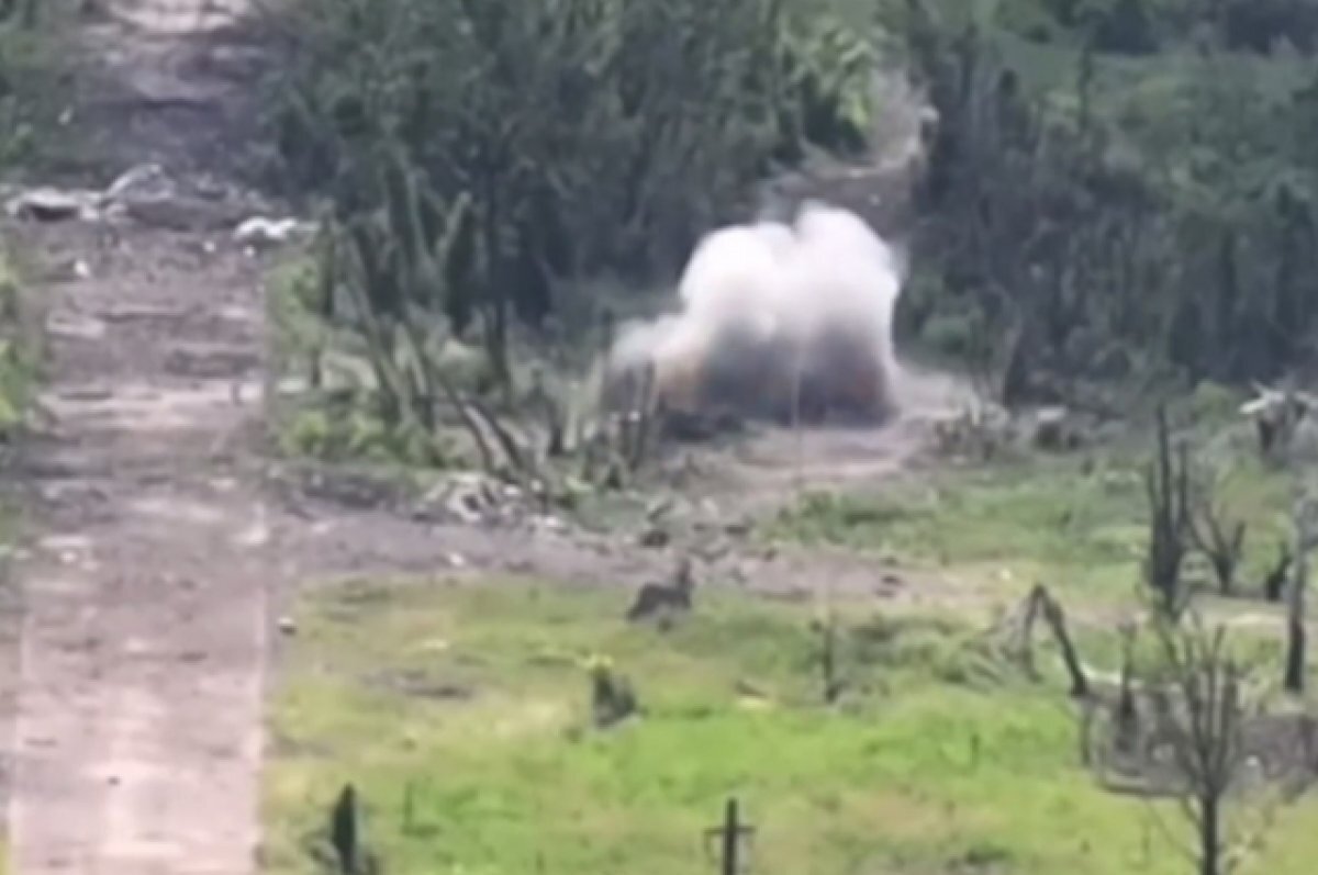    Минобороны РФ показало кадры уничтожения дроном опорного пункта ВСУ