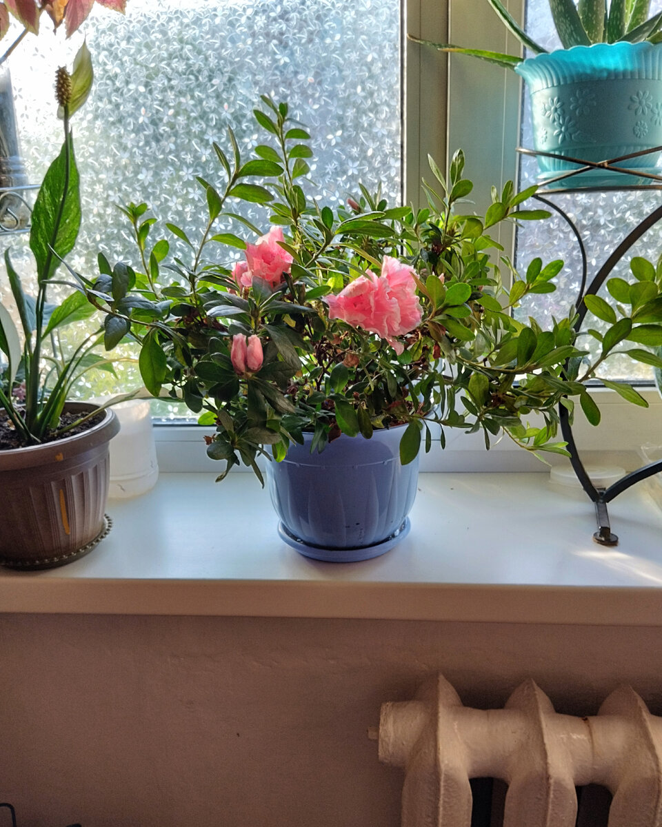 Фото автора.