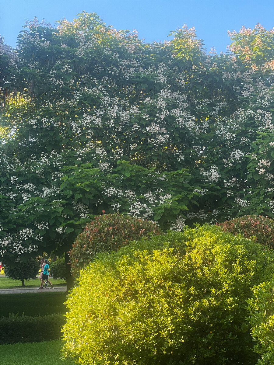 фото из архива автора