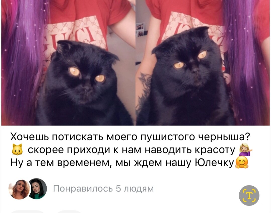 Фото автора. Так его бывшая хозяйка выкладывала в сети.