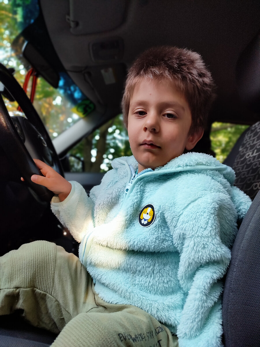 Сонная моська