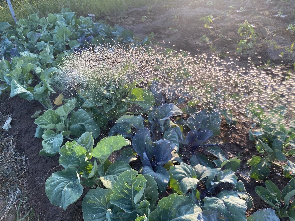 Личное фото