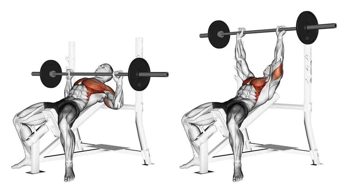 Источник фотографии: Яндекс картинки 
