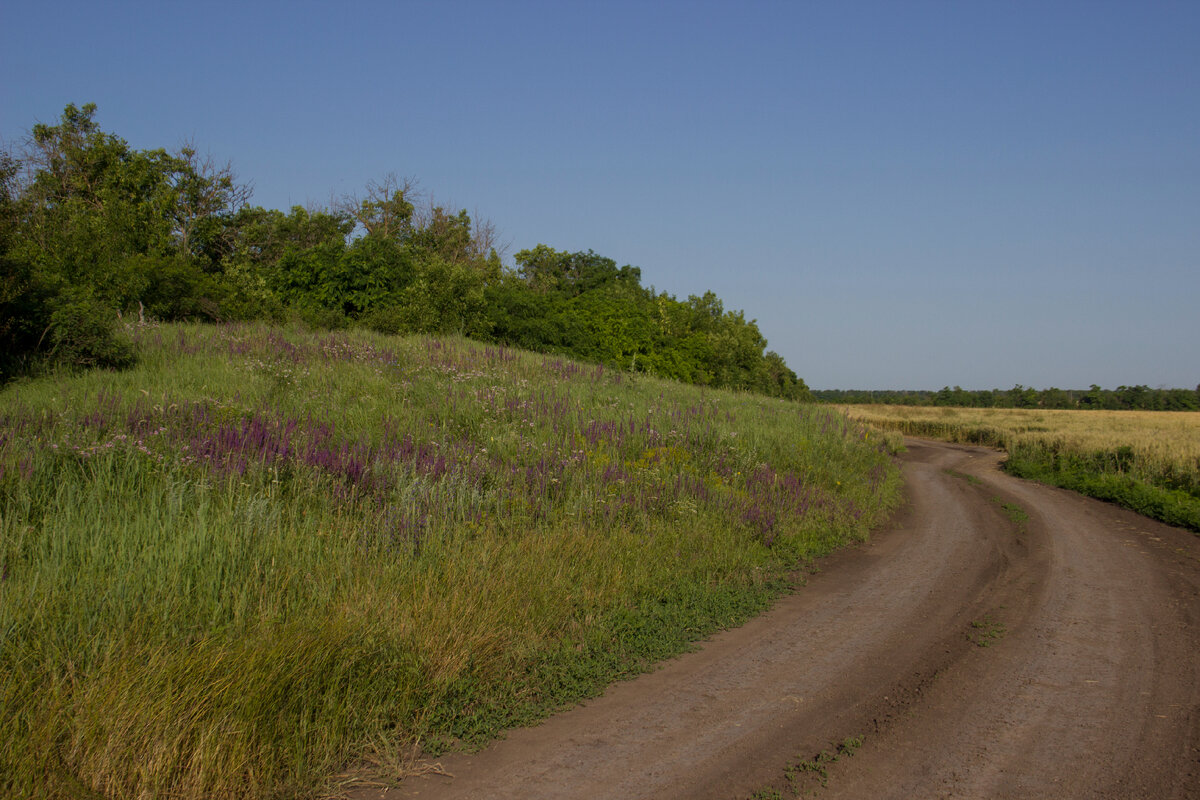 Вот по этой дороге я и приехал к развилке. 