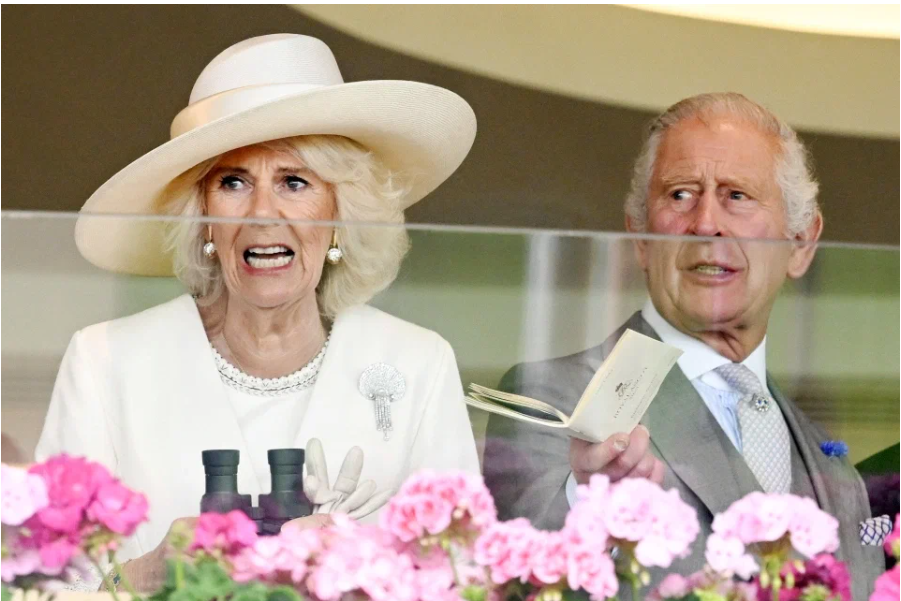 Фото из сети Интернет