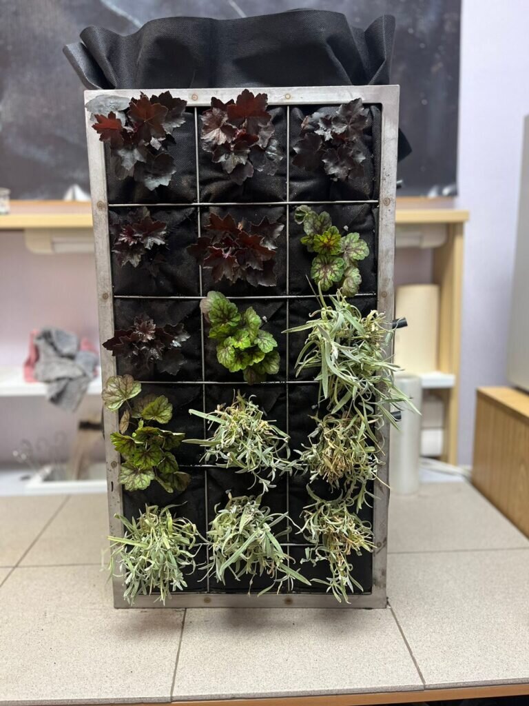    Модульные конструкции для вертикального озеленения фасадов / ©Пресс-служба ЮФУ