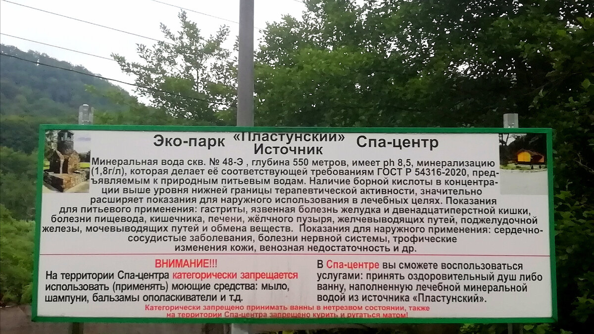 Прекрасные 3 места для пикника в городе Сочи: жарим шашлык и любуемся  природой | Жить жизнь на море | Дзен