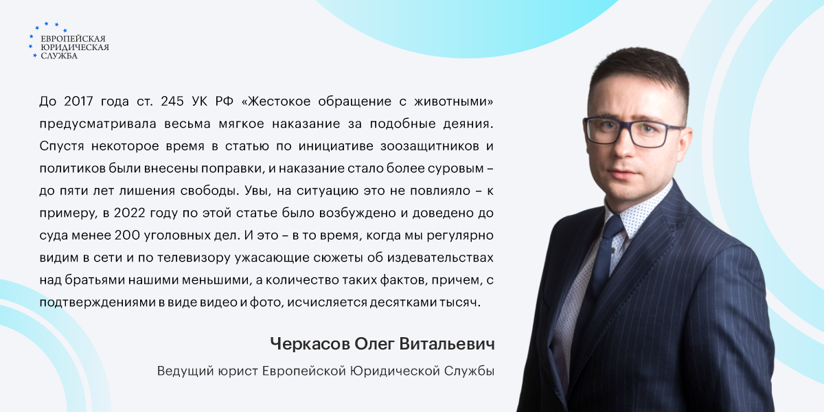 Сервис Юрист24