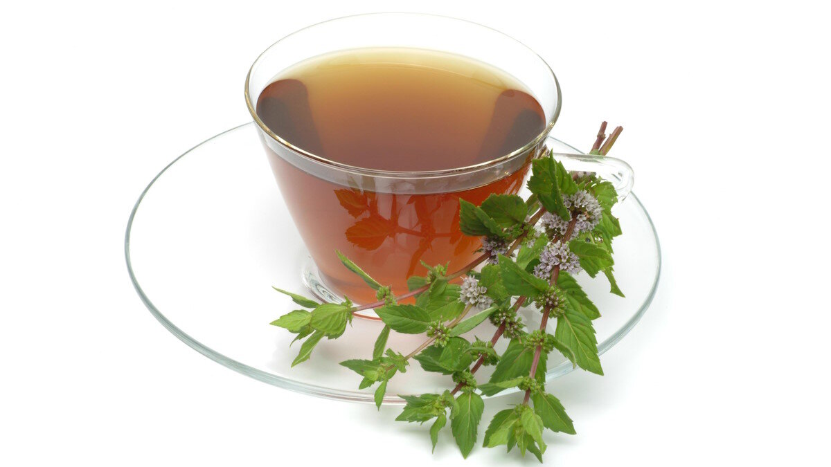    Почему мятный чай может быть вреден