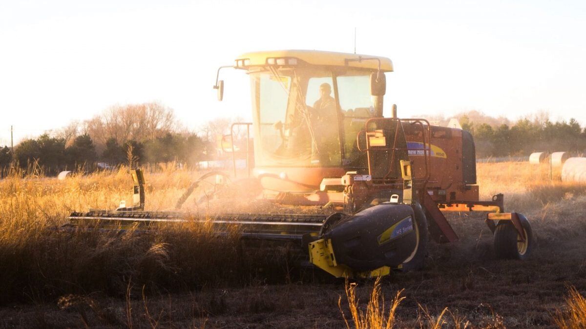    Фото: Unsplash Август Макаров