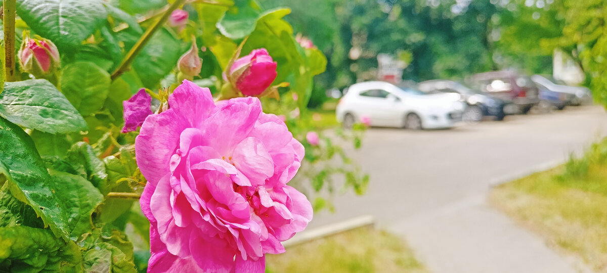 Фото автора 