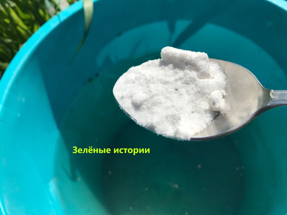 ��������� ������� � �����