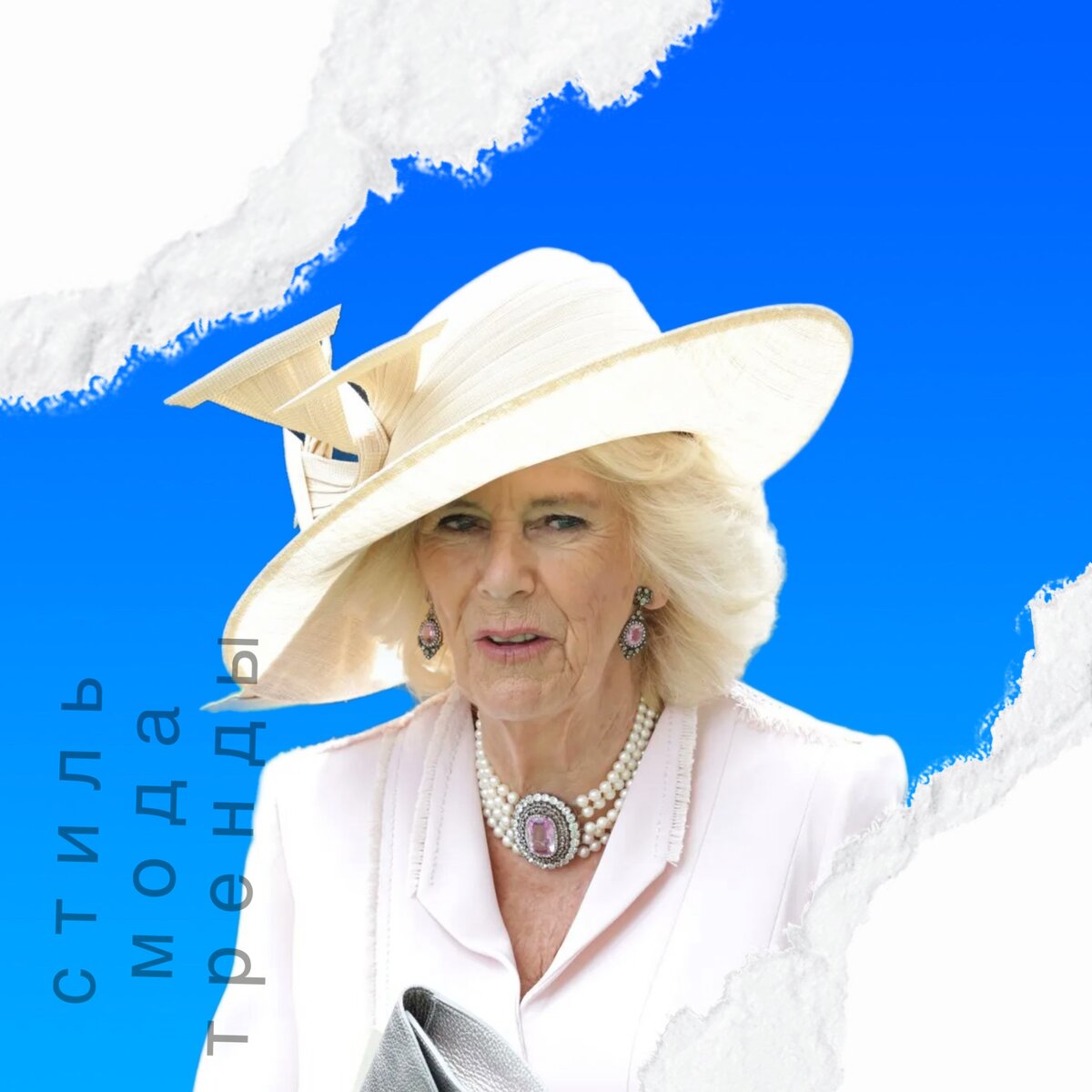 Princess Diana Vs Camilla Parker Bowles DDC