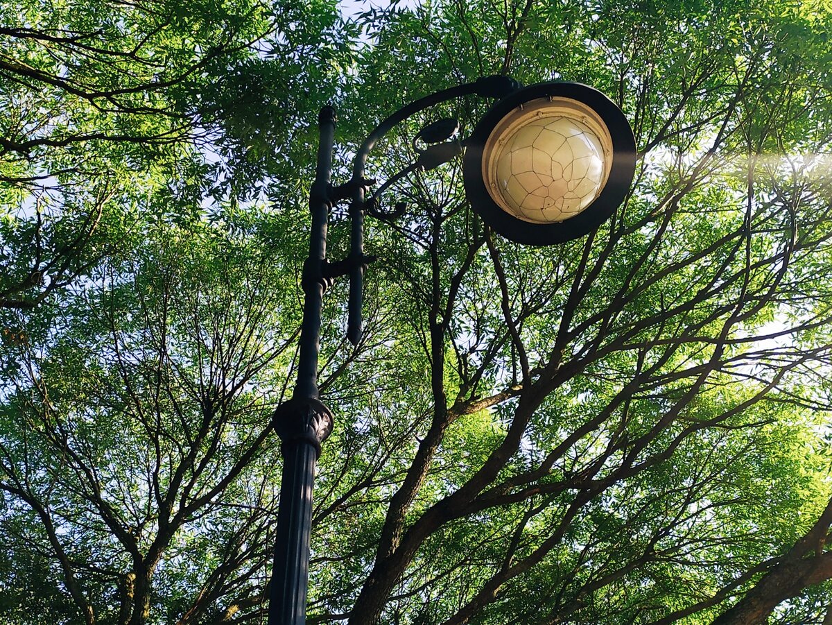 Фонарь Любашинского сада. Думаю, что волшебный. На втором фото ещё немного зелени. 