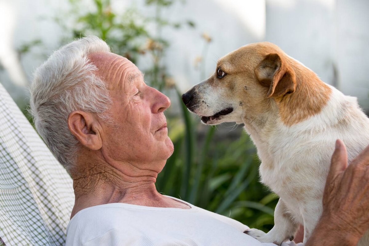 Пожилой человек с собакой. Старики и животные. Пенсионер с собакой. Старик и собака.