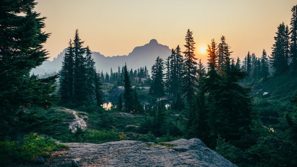    Фото: Unsplash Рашид Ахмежанов