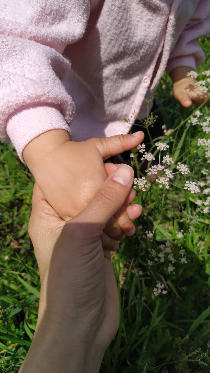 Скоро будем проходить адаптацию в саду