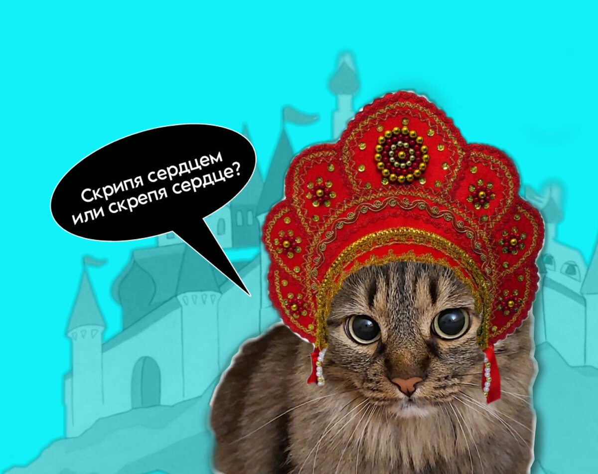 Мой соавтор)