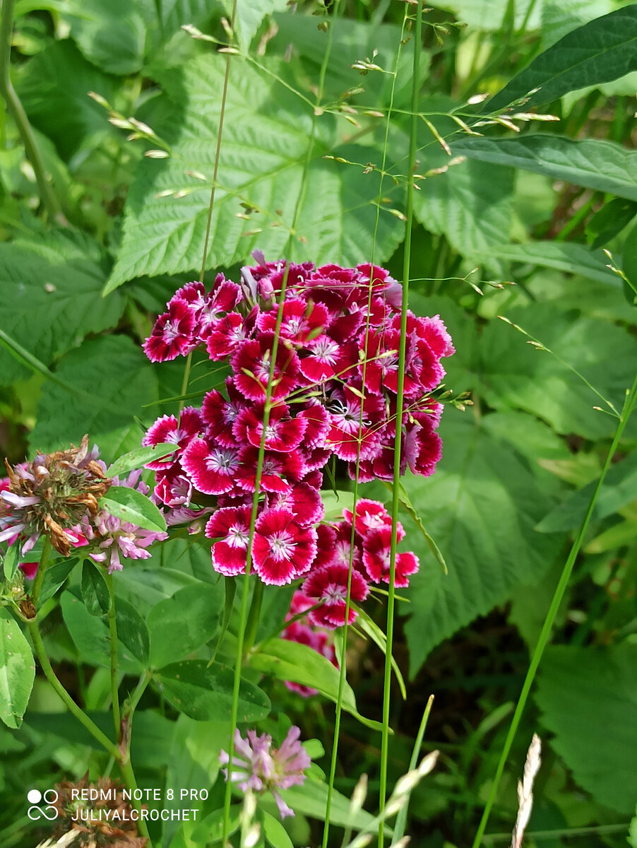 Личный архив