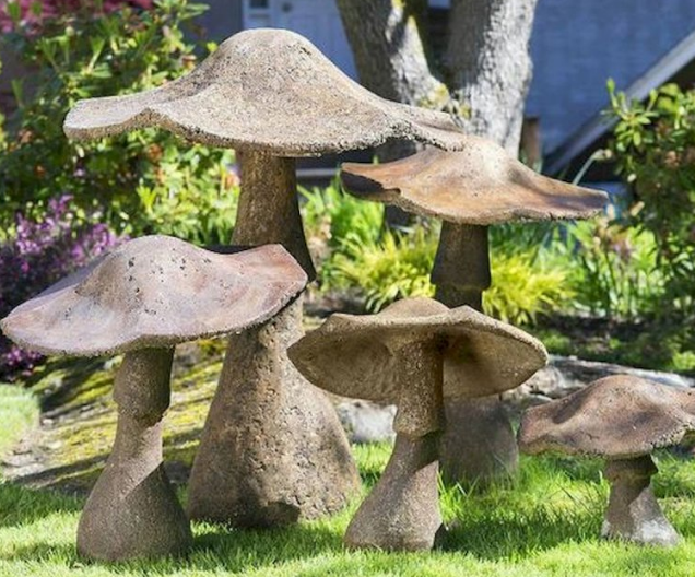 Опасные грибы в саду — кто они и как спасти растения. Фото — Ботаничка