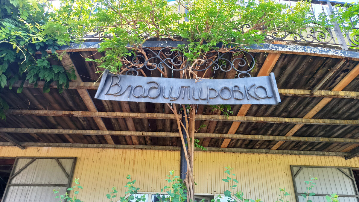 Конная ферма «Владимировка». Станица Азовская. 