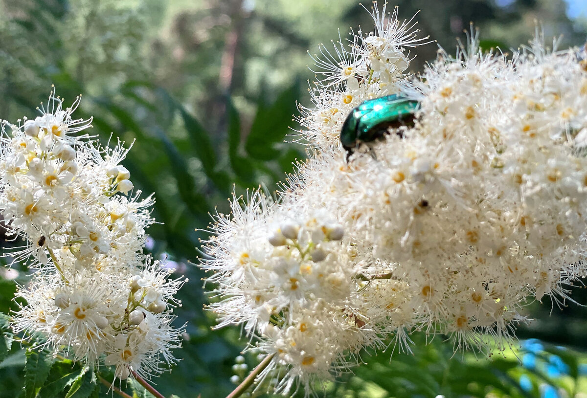 Июнь 2023 в Москве