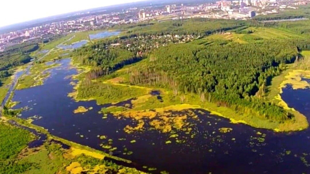     Судя по поправкам, которые принимают депутаты, в этом уникальном заповеднике будет разрешено строительство и дорог, и инфраструктуры.