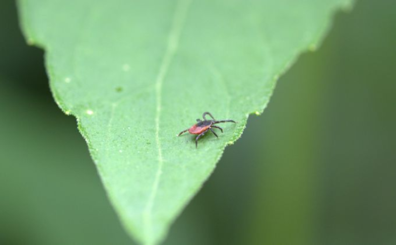    Фото из архива VN.ru