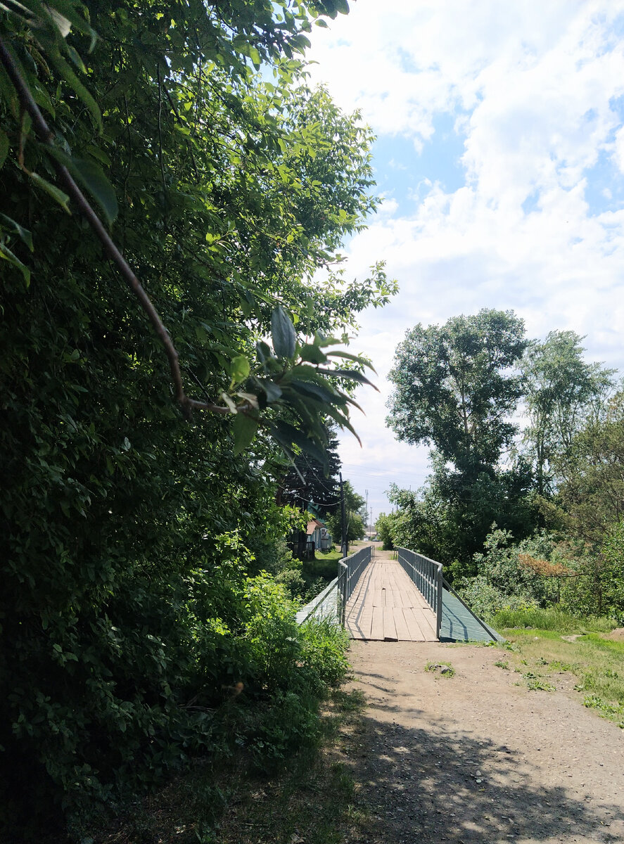 Фото: Удивительный АльбОМСК 