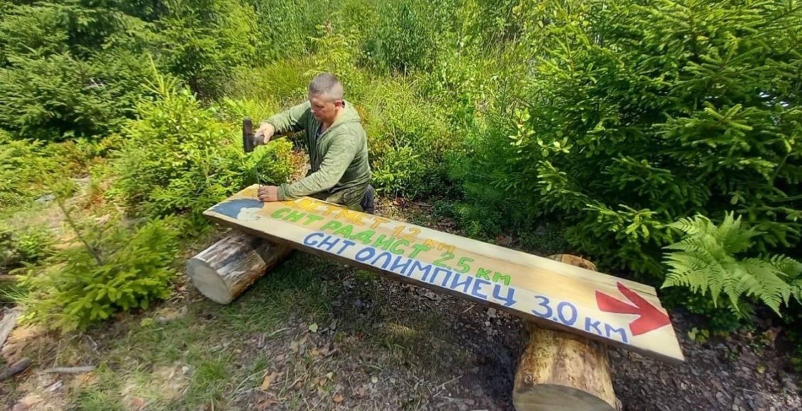    Фото: Пресс-служба Комитета лесного хозяйства Московской области