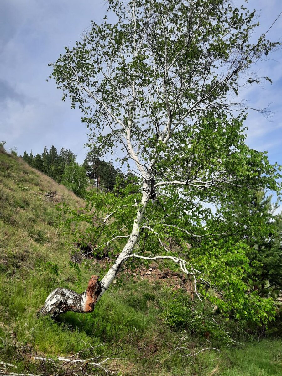 Фото автора.