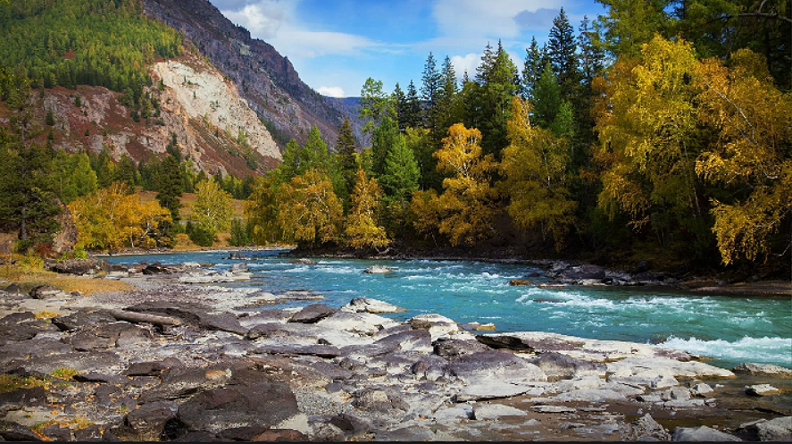Картинка взята в интернете