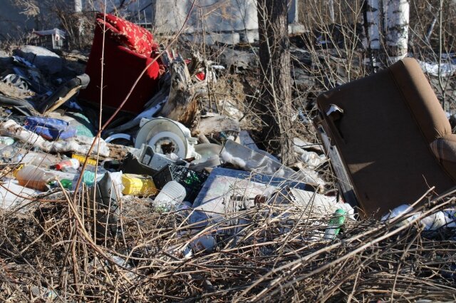    Стихийные свалки встретишь за городом и вдоль дорог, и в лесах. Фото:  АиФ/ Евгения Гаева