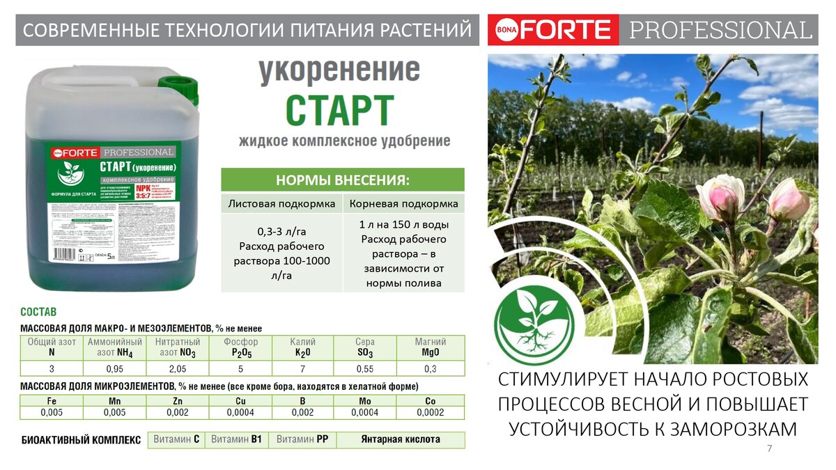 Удобрения для корневой подкормки. Удобрение Forte professional. Корневая подкормка. Жидкие комплексные удобрения. Удобрение для корневой системы.