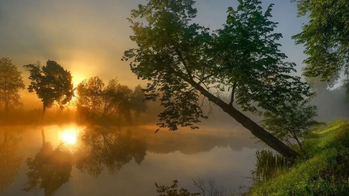 Солнце может разразиться мощными геоударами в любой момент. Фото: pxhere.com