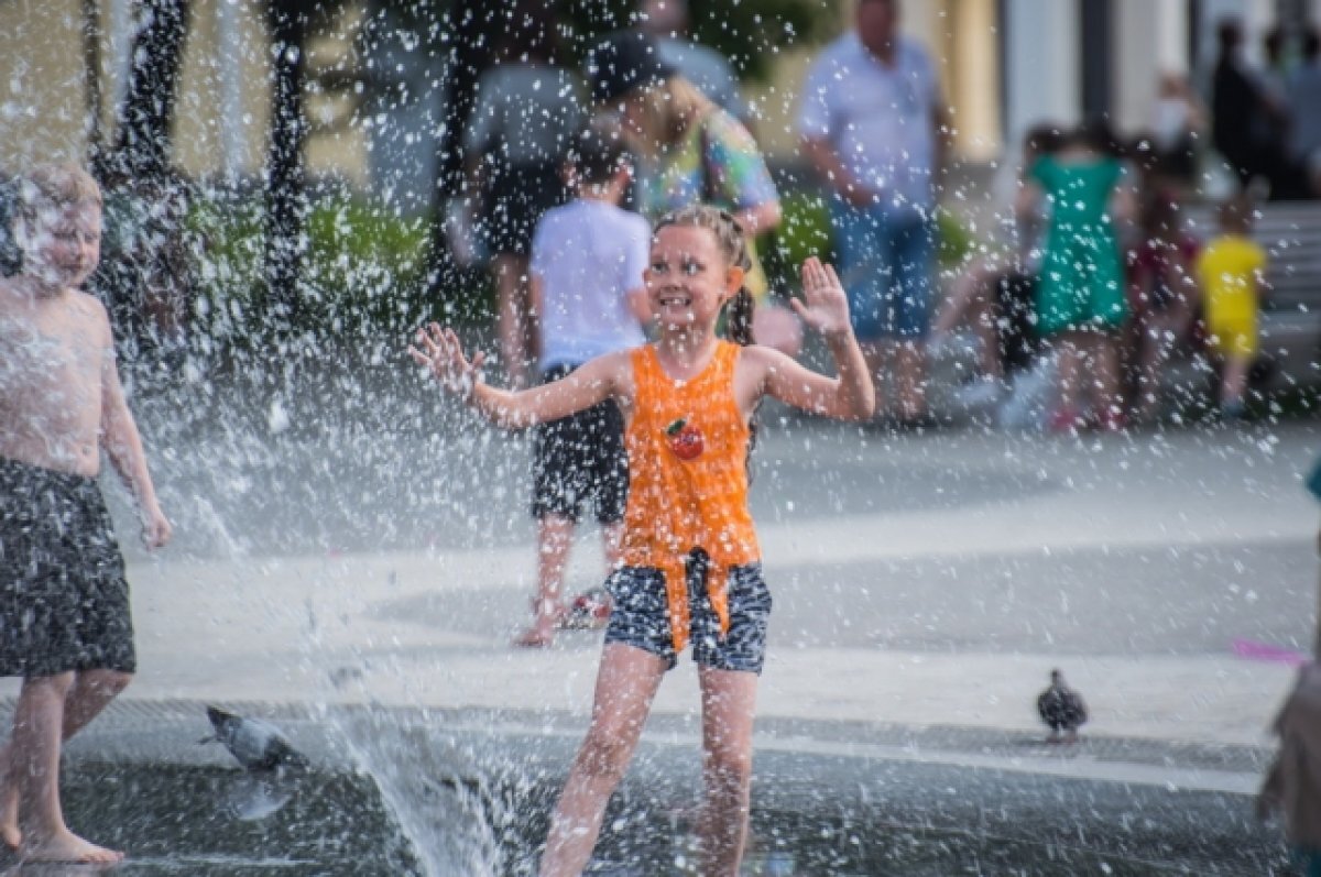    В Новосибирск 2 июля вернется летнее тепло