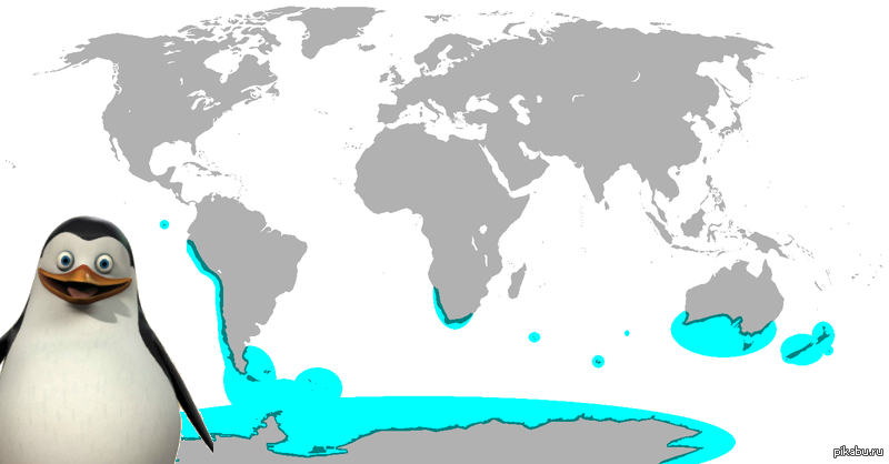 Ареал обитания пингвинов. Ариал обитания пингвинов. Ареал распространения пингвинов. Где обитает пингвин материк