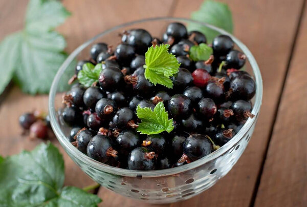 Самые простые и вкусные рецепты настоек в домашних условиях. Фото © Freepik / timolina 