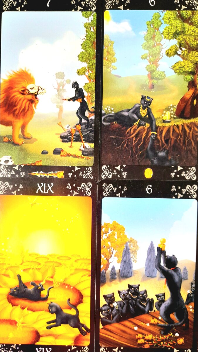 Расклад на Таро черных Котов
