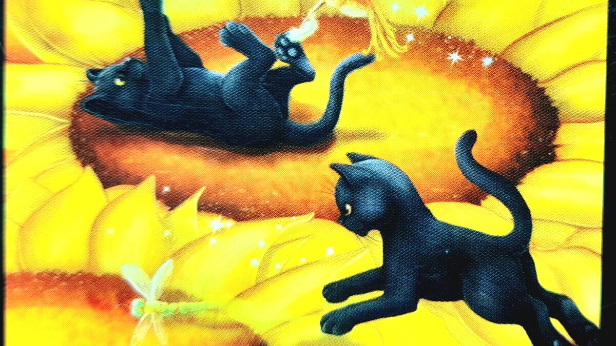 Радость - вторая натура котов.