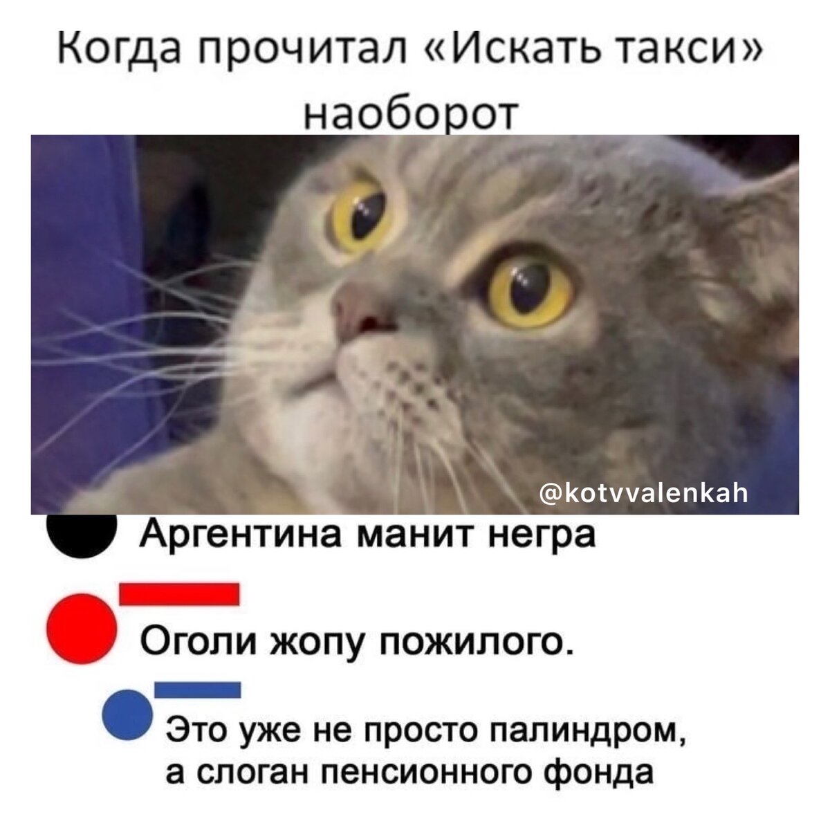 Мемы субботы, предпраздничные 😽 | Кот в валенках Марсель | Дзен