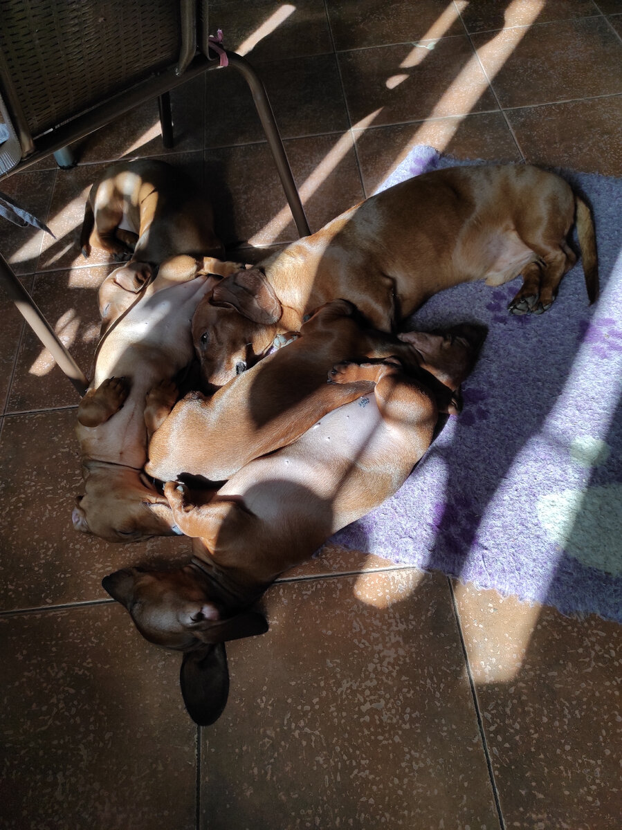 Макар обложился внуками