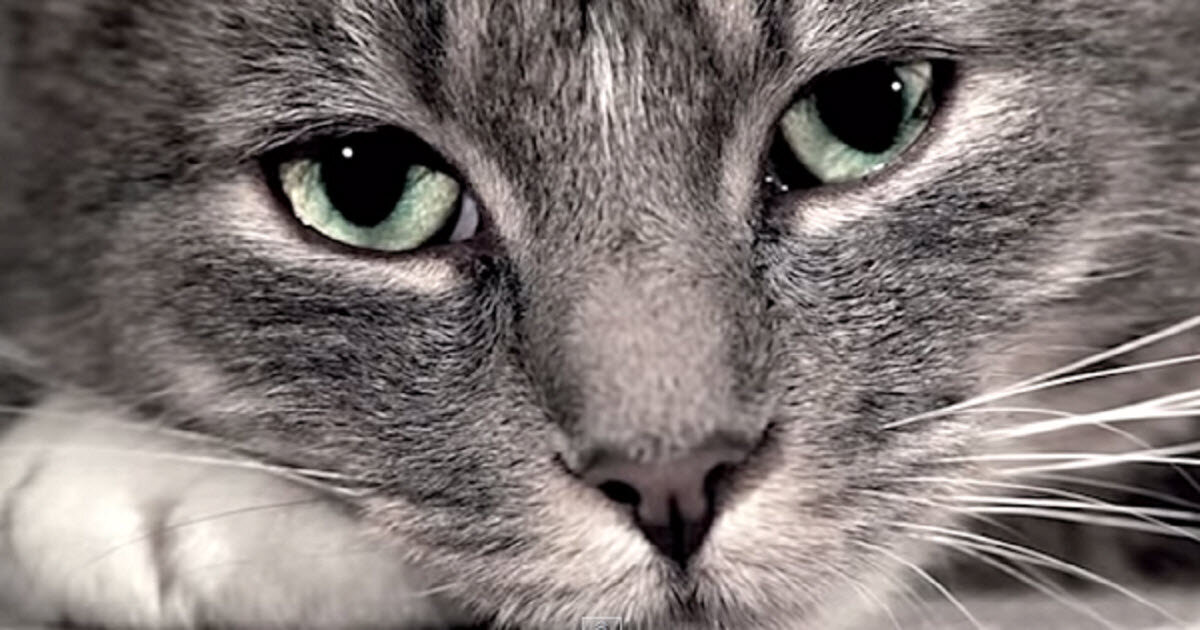 Фото из Интернета.