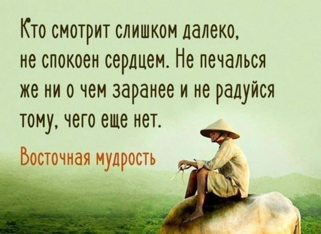 Мудрость жизни