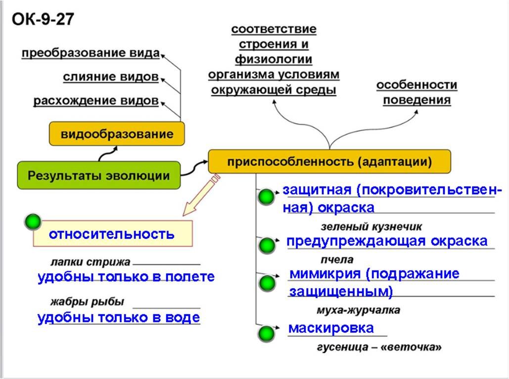 36 результаты