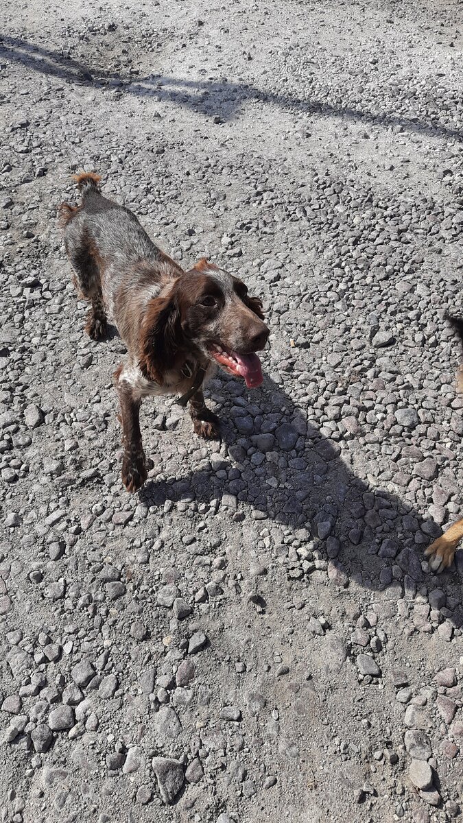 Вот эта морда)