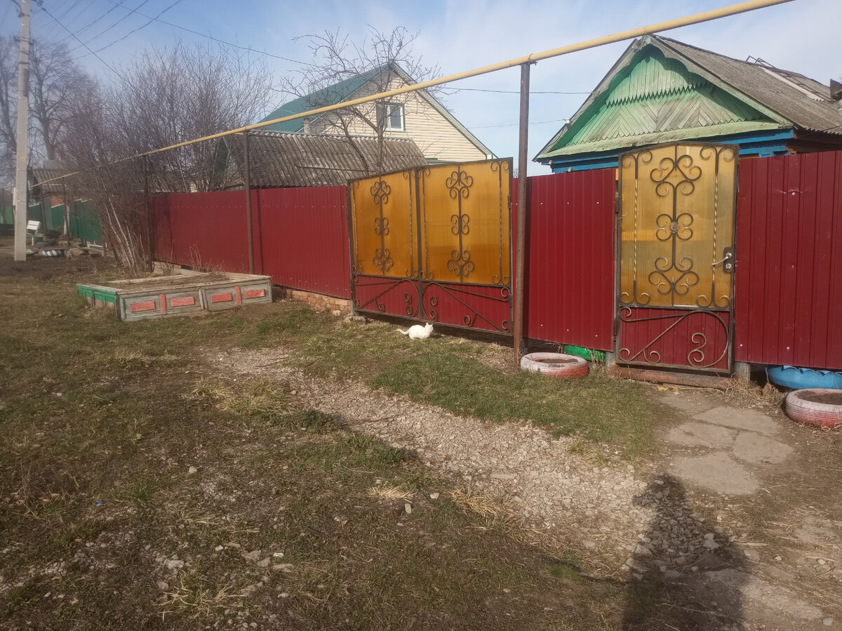 Провожает кот Бэлл нас