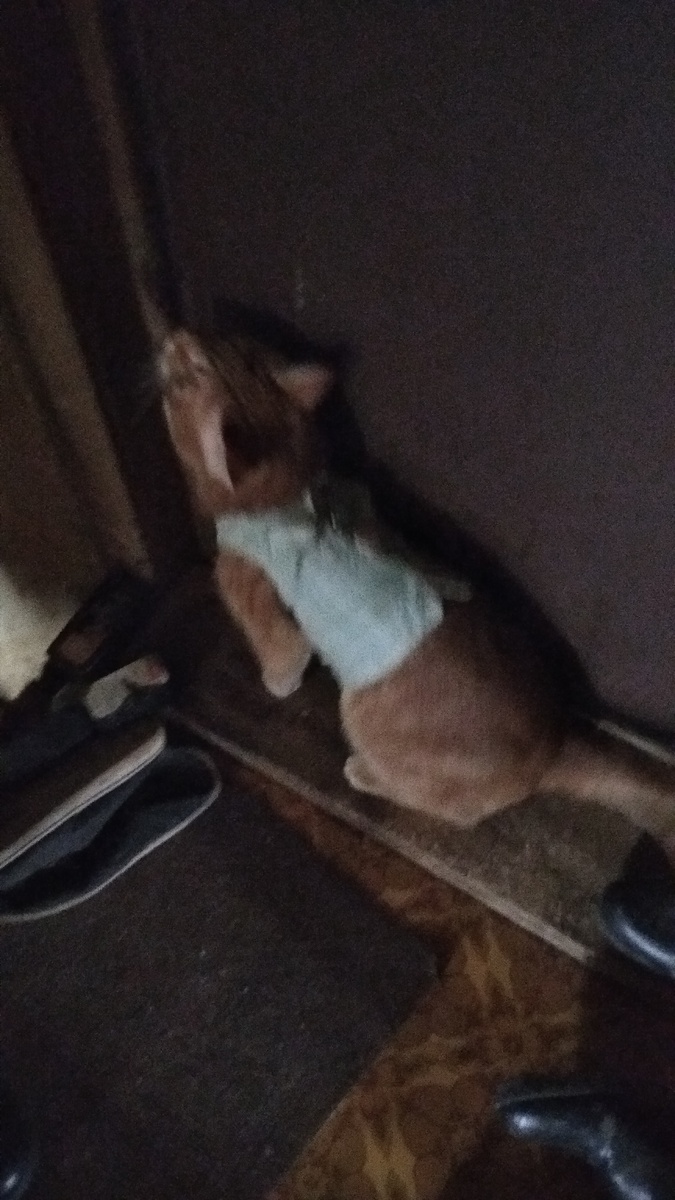 Личное  фото